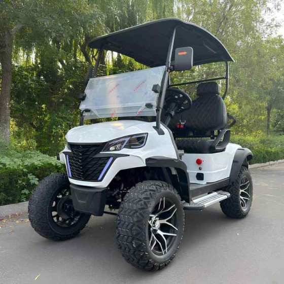 Affordable Club 2 - 4 Seater Chinese Electric Golf Cart Car for Sale 72V Lithium Custom Comfortable 6 Seats Electric Golf Carts